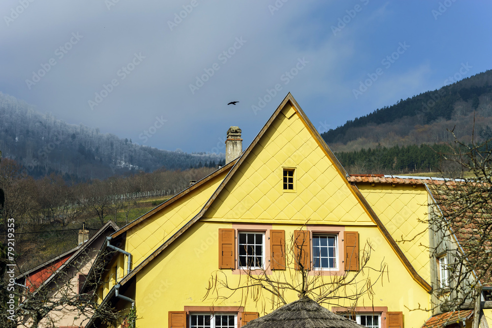 Traditional alsace country house, spring day