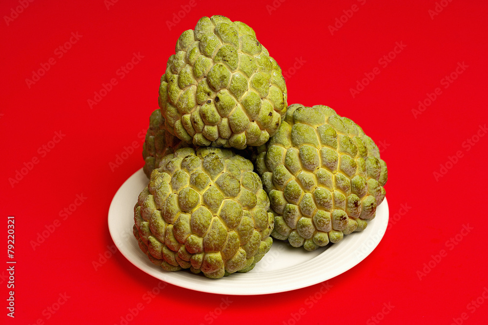 Fototapeta premium 포토시리즈(해외여행)