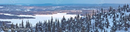 Winter panorama in Northern Finland. #79222974
