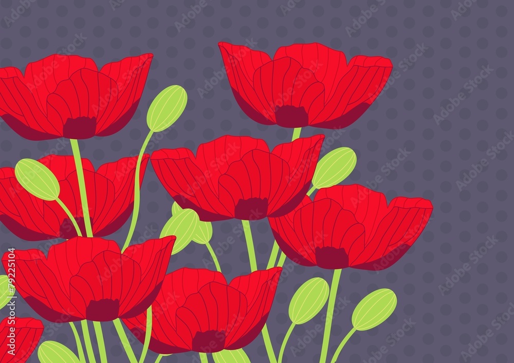 Vintage Poppy illustration