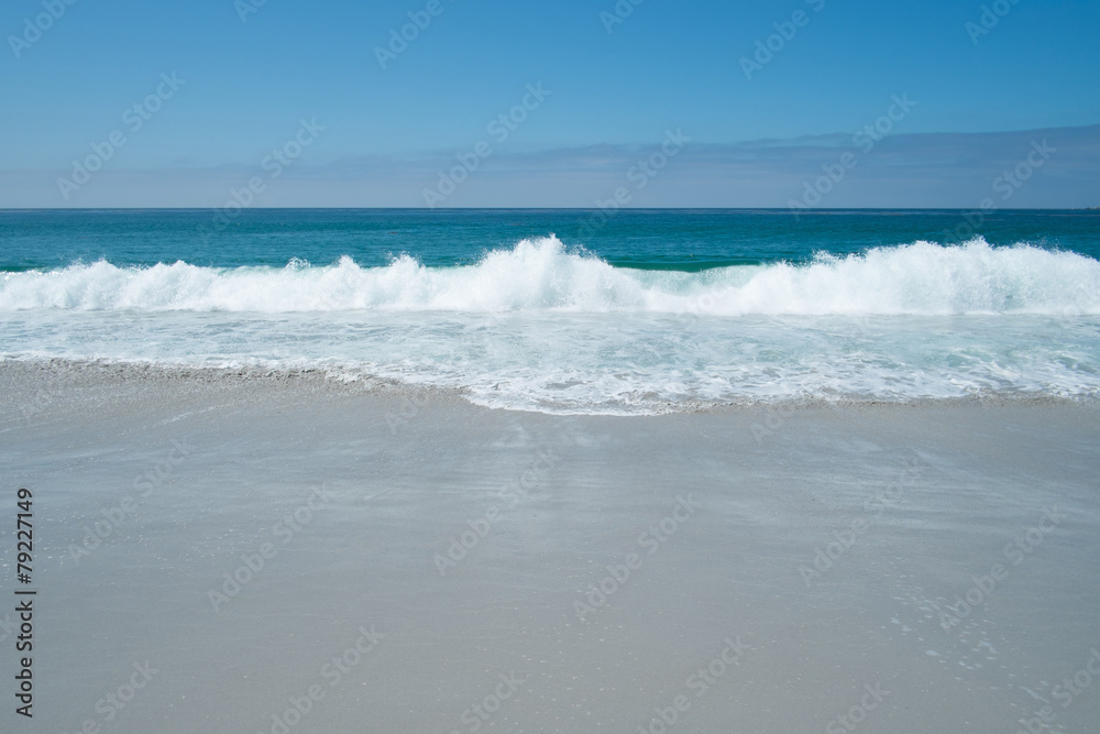 Fototapeta premium Ocean and beach