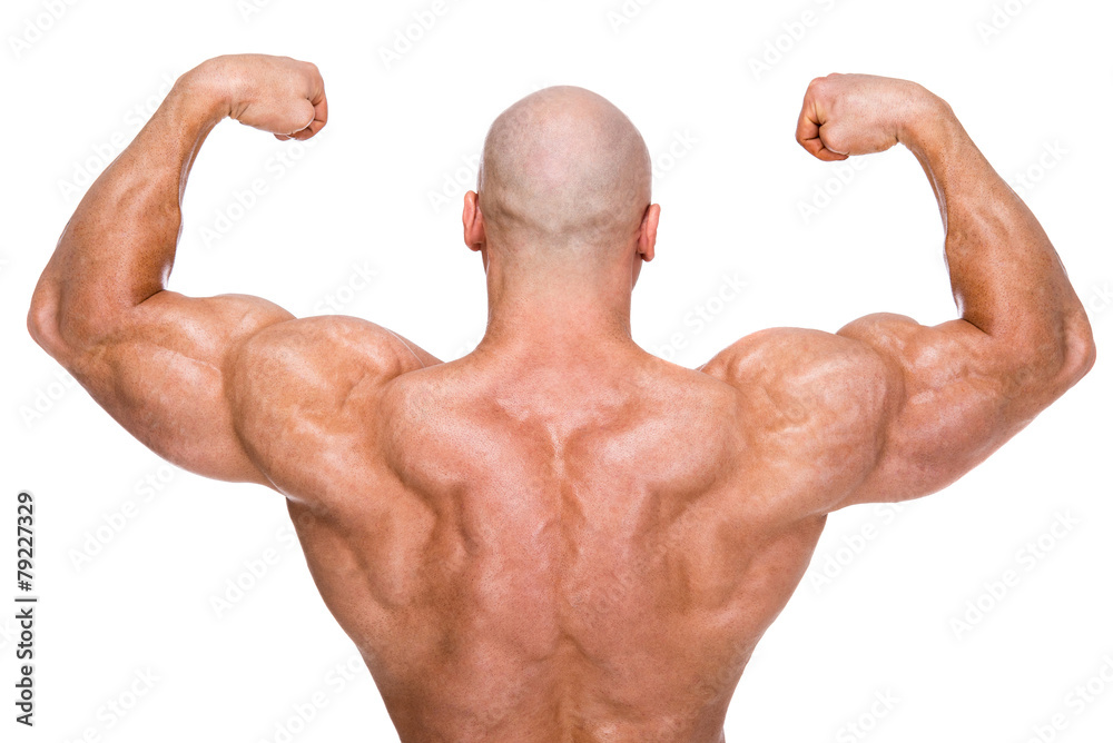 Bodybuilder Bodybuilder