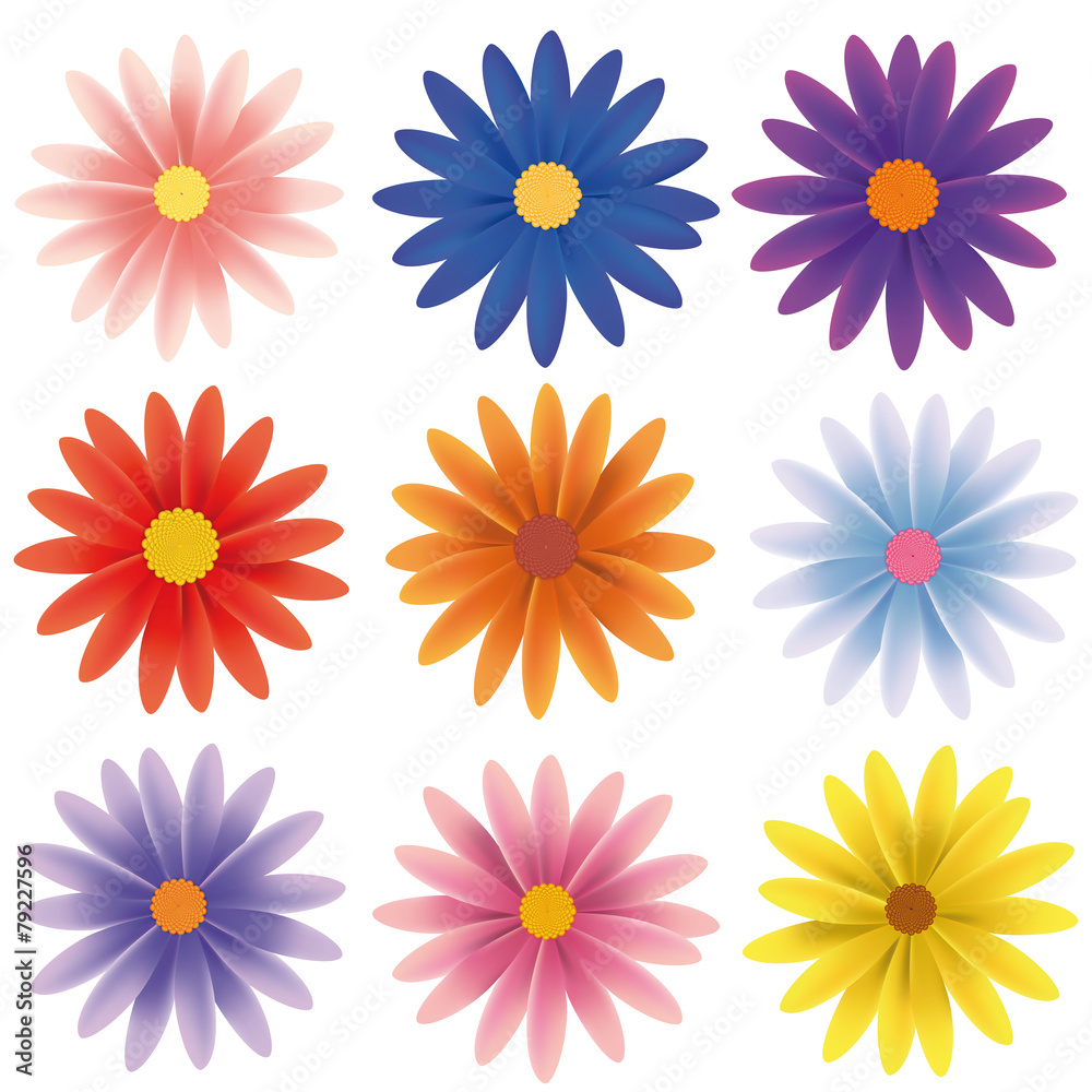 Isolated Vector Flower Collection