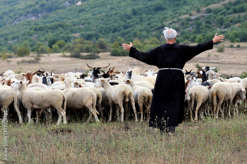 pastore e pecore photo
