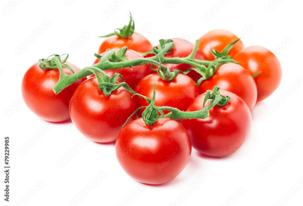 Tomaten, Strauchtomaten, isoliert Tomaten, Strauchtomaten, isoliert