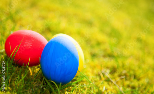 Colorful easter eggs on meadow