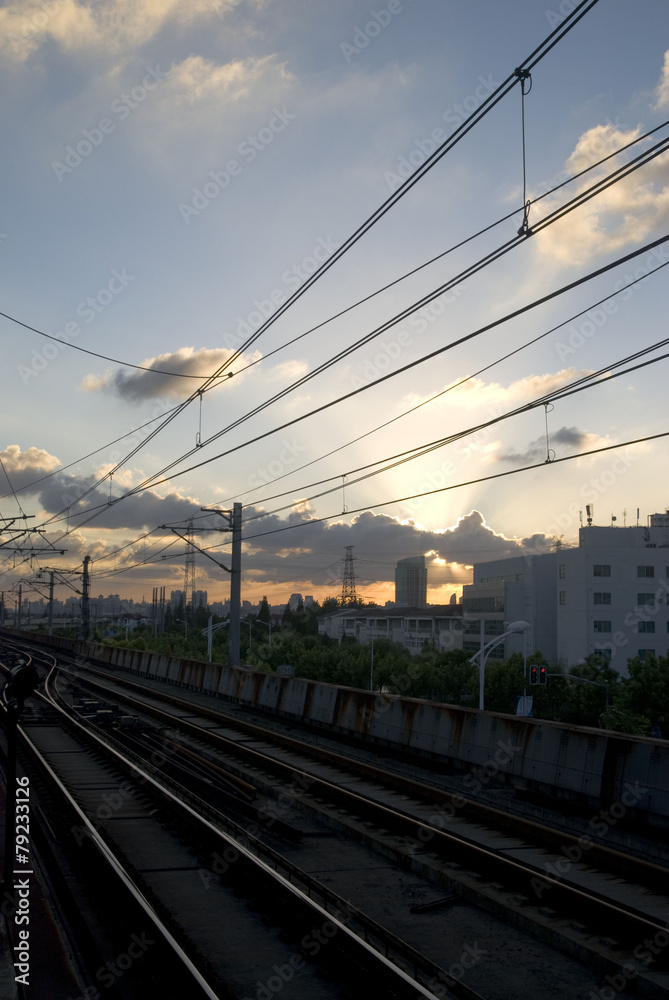 Fototapeta premium 포토시리즈