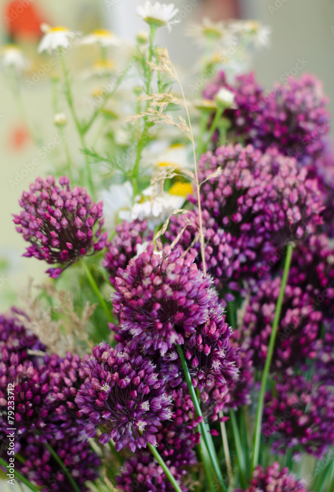 Obraz premium purple wildflowers