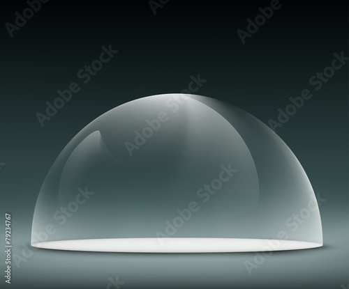 glass dome on a dark background © Trifonenko Ivan