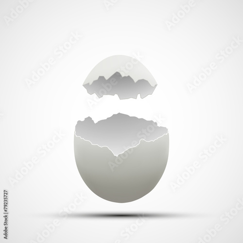 Vector icons broken chicken egg