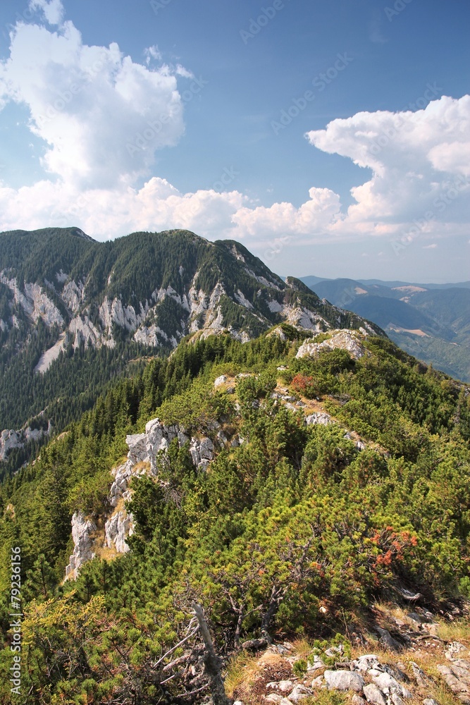 Romania nature - Piatra Craiului mountains Romania nature - Piatra Craiului mountains