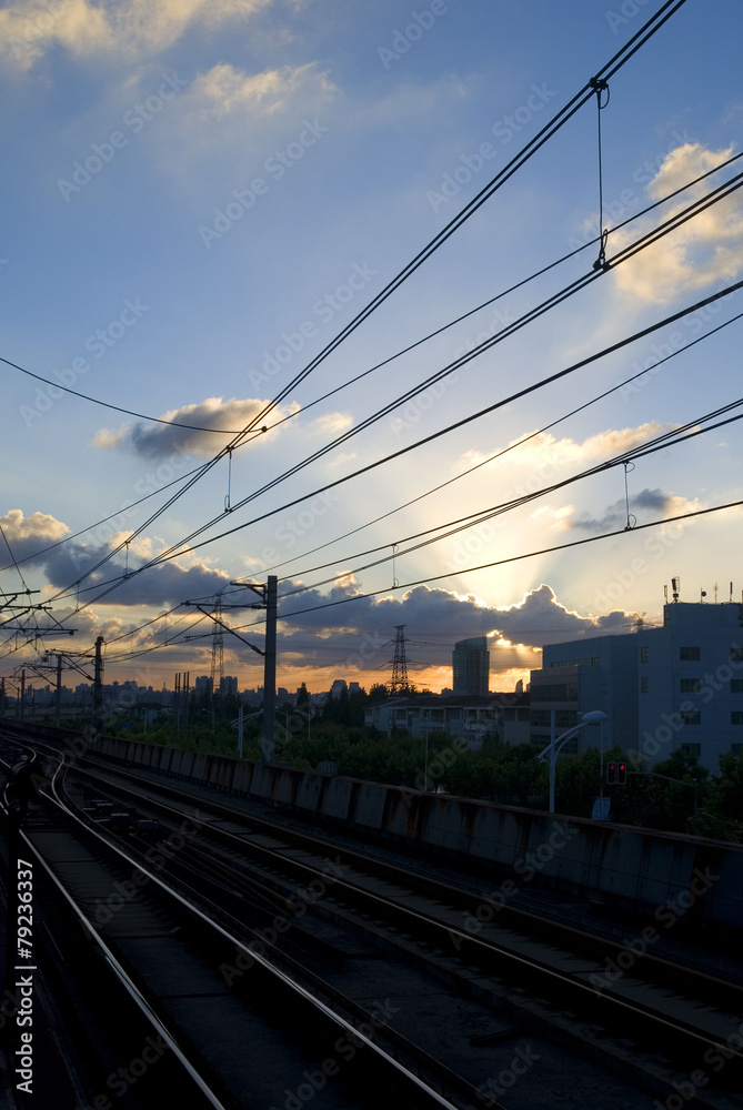 Fototapeta premium 포토시리즈