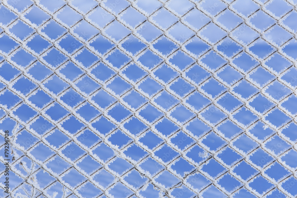 Fototapeta premium frost on the fence