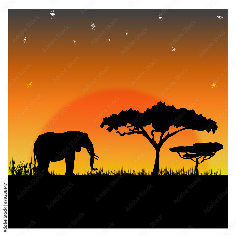 Obraz premium Silhouettes of an elephant