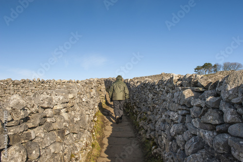 Rambler walking in english countryside