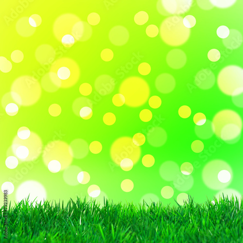 Bokeh mit grünem Gras