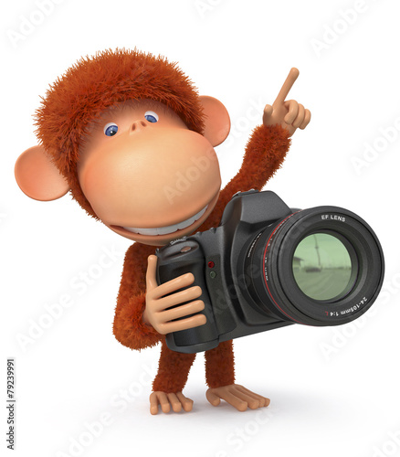 Photography 3d monkey photographer