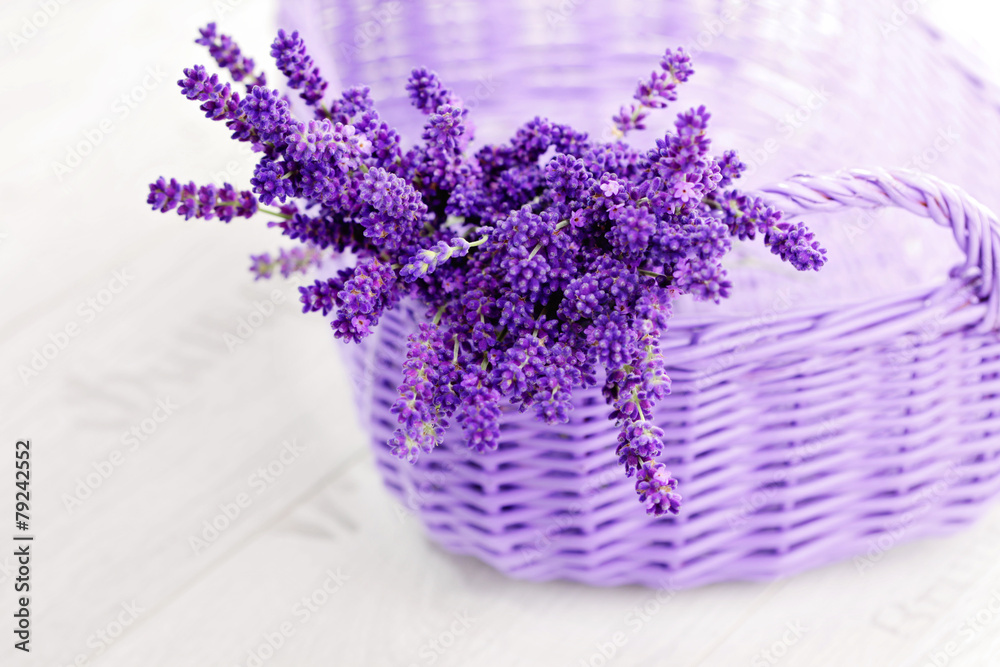 Fototapeta premium basket of lavende