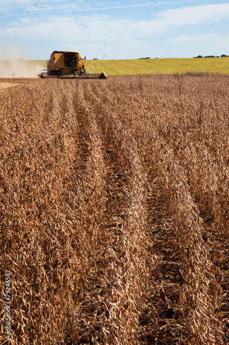 Agricultural machine harvesting soybean field.