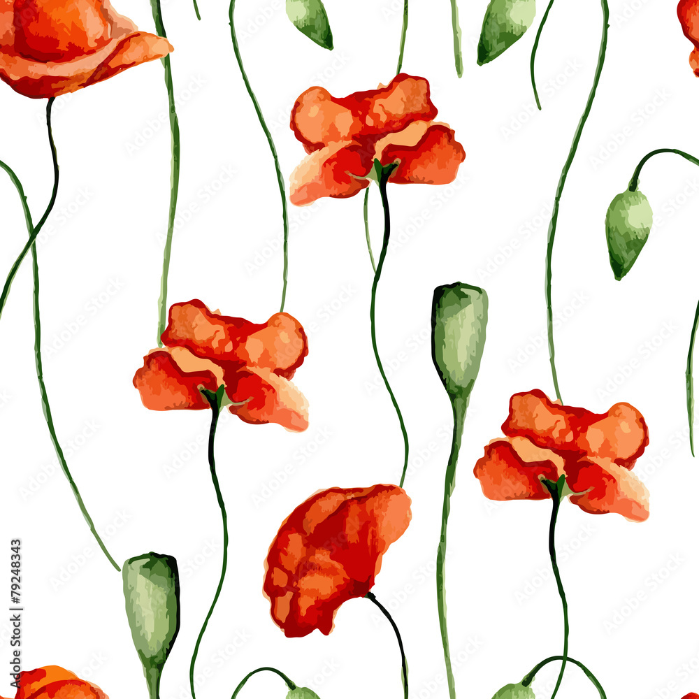 Floral pattern. Poppies Floral pattern. Poppies