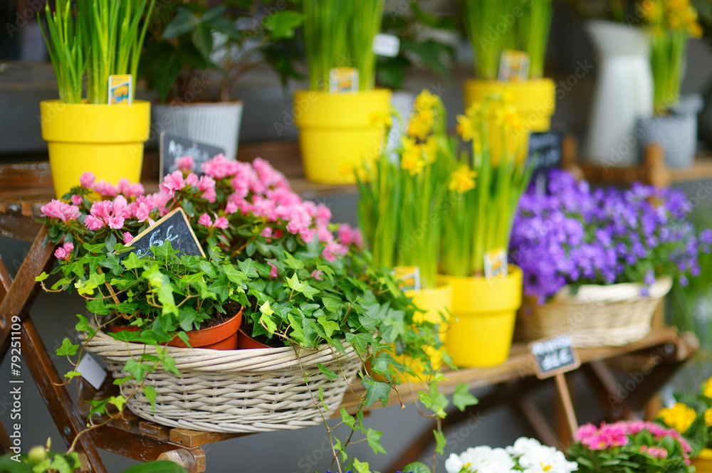 Beautiful flowers sold on outdoor flower shop Beautiful flowers sold on outdoor flower shop
