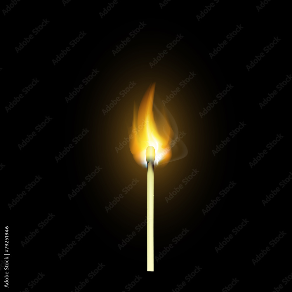 realistic burning match realistic burning match