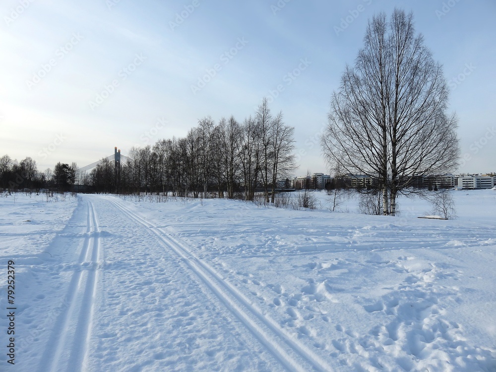 Fototapeta premium neige