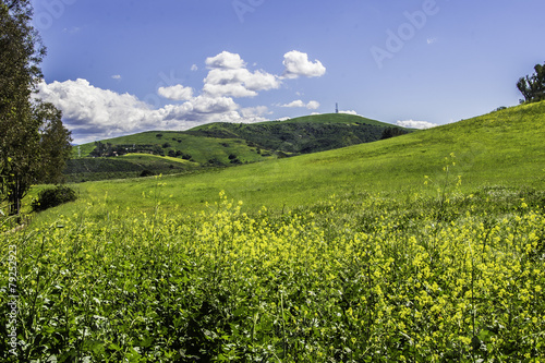 Beautiful Meadow and Spring Skies