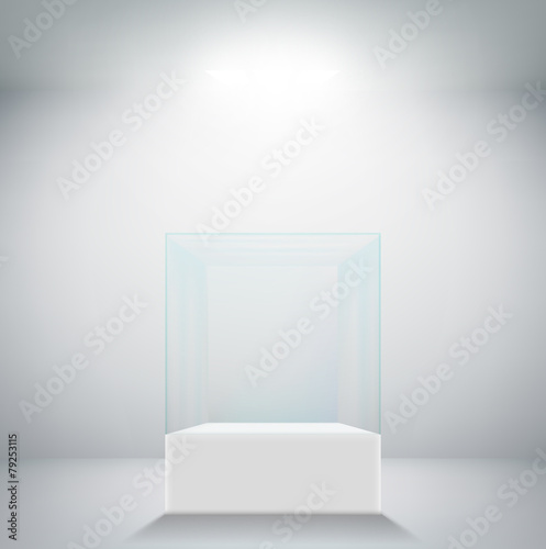 Empty glass showcase for exhibit