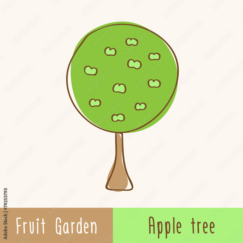 Fototapeta premium Garden fruit trees - single tree