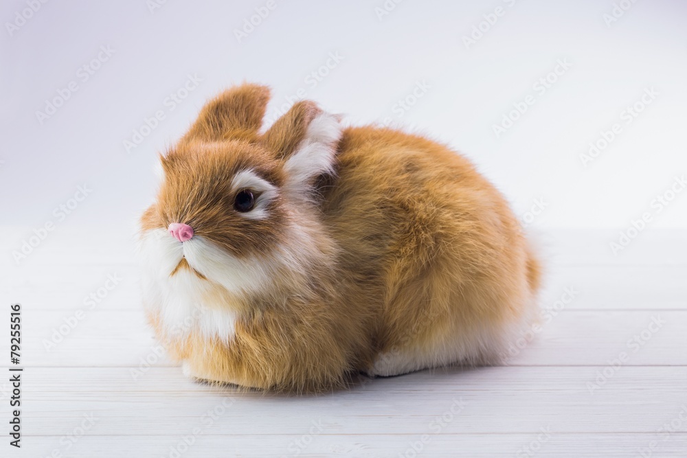 Obraz premium Ginger bunny rabbit