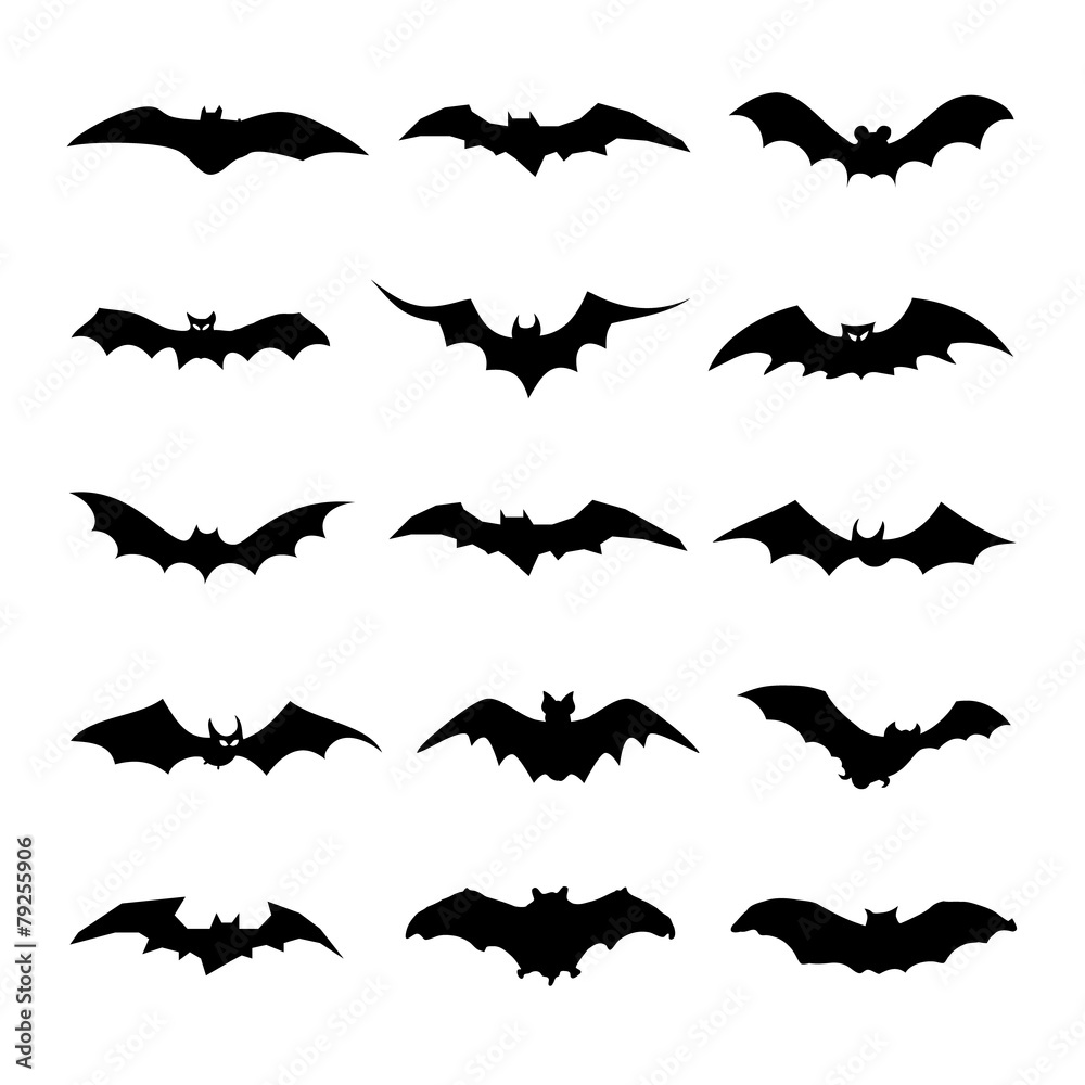 Naklejka premium Bat icons set great for any use. Vector EPS10.
