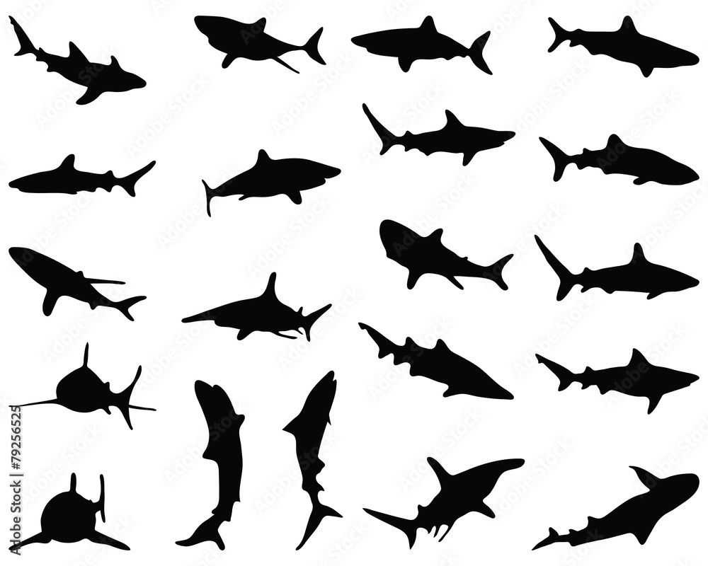 Black silhouette of sharks, vector illustration