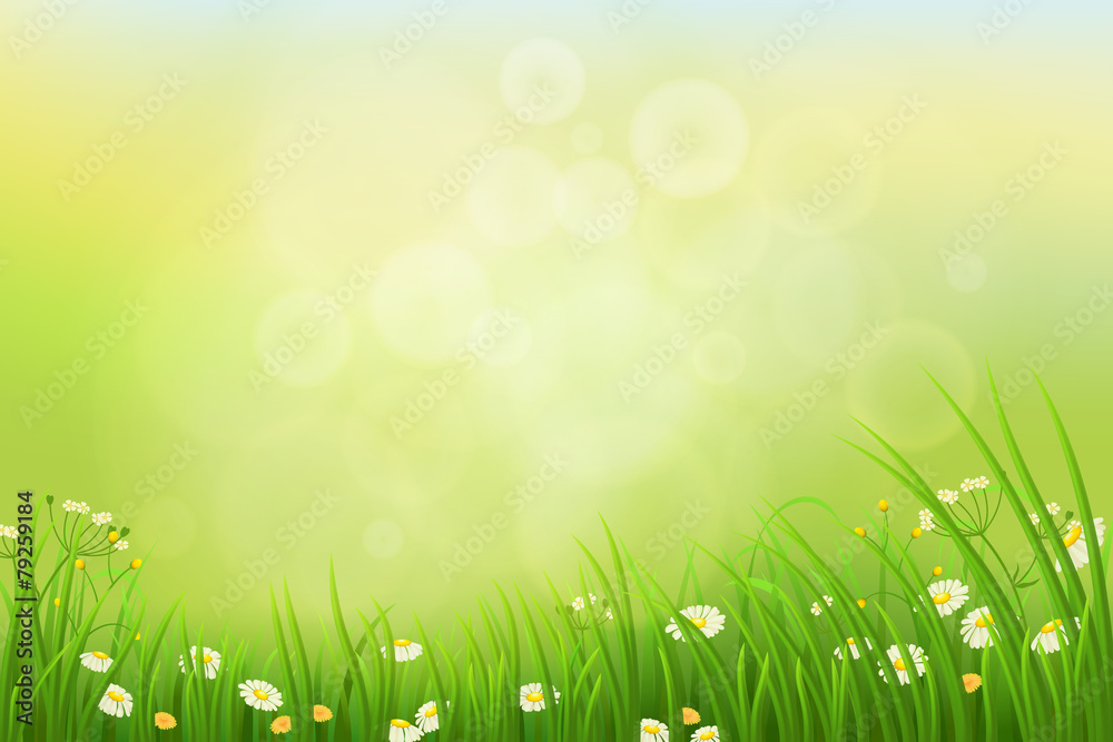 Spring nature background with green grass and flowers