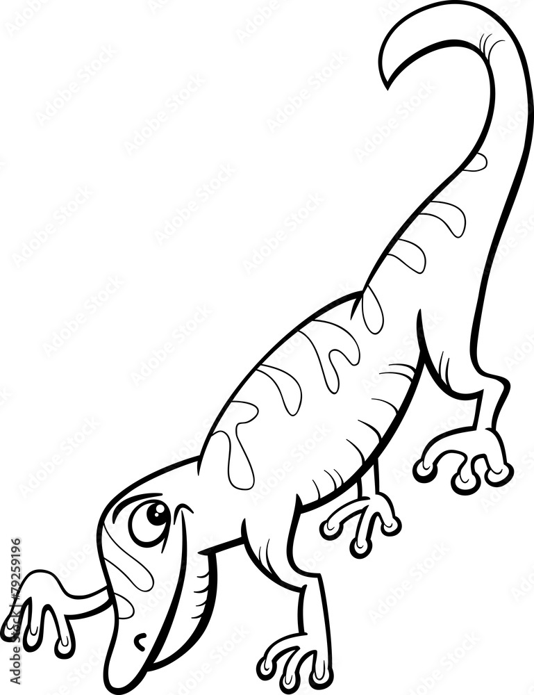 gecko reptile cartoon coloring page gecko reptile cartoon coloring page