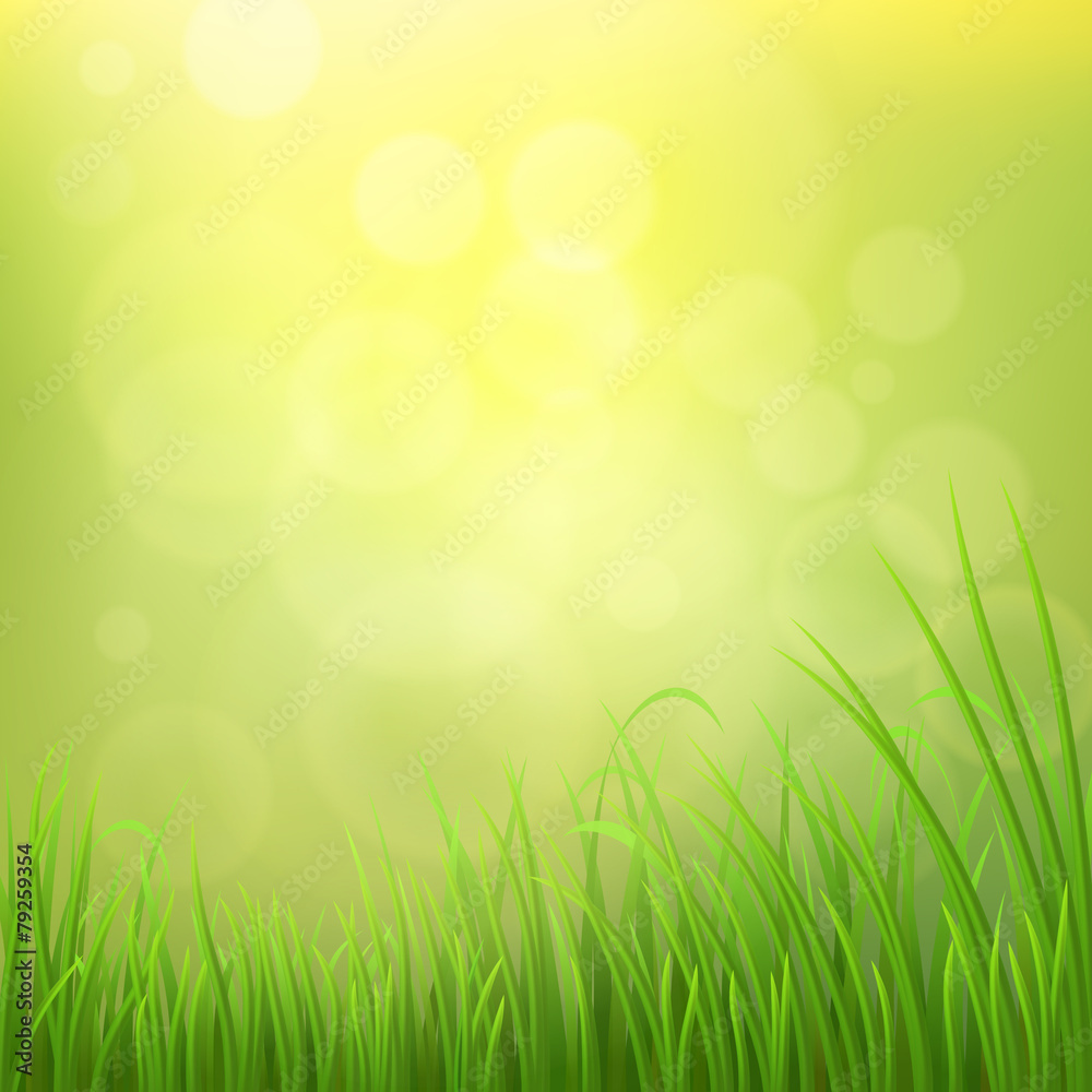Spring nature background with green grass, vector illustration