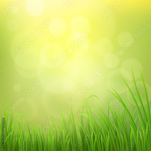 Spring nature background with green grass, vector illustration