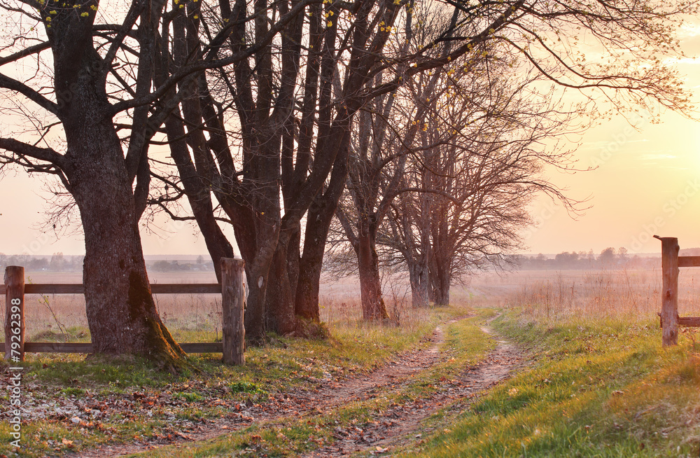 Obraz premium April evening in the park