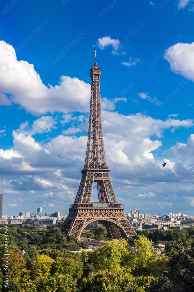 Fototapeta premium Eiffel Tower in Paris, France