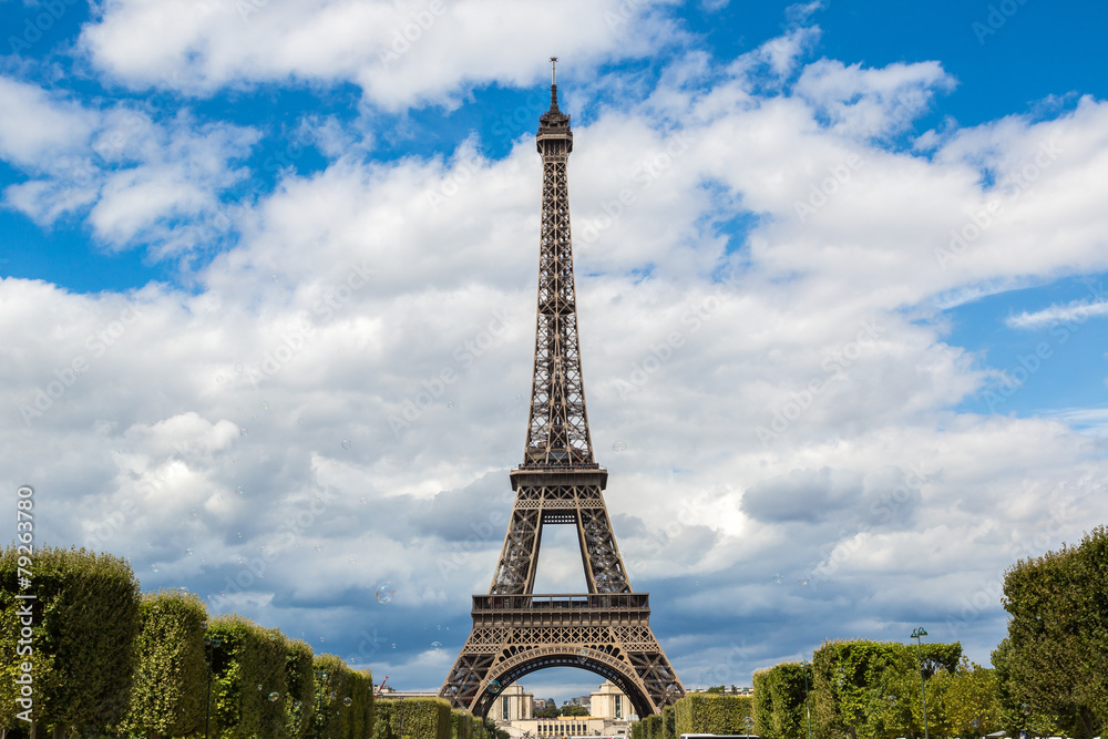 Fototapeta premium Eiffel tower in Paris