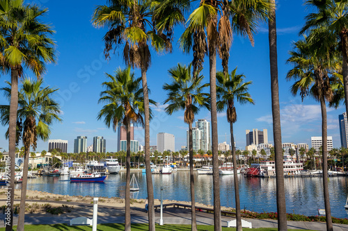 Long Beach Marina and city skyline  Long Beach  CA