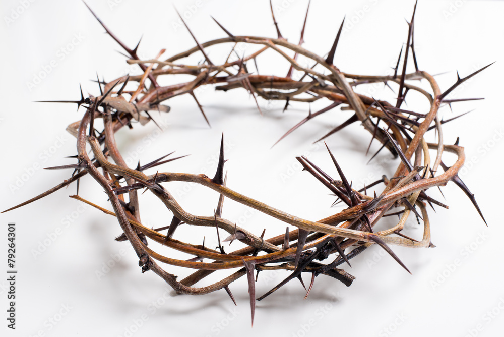 A crown of thorns on a white background - Easter. religion. A crown of thorns on a white background - Easter. religion.
