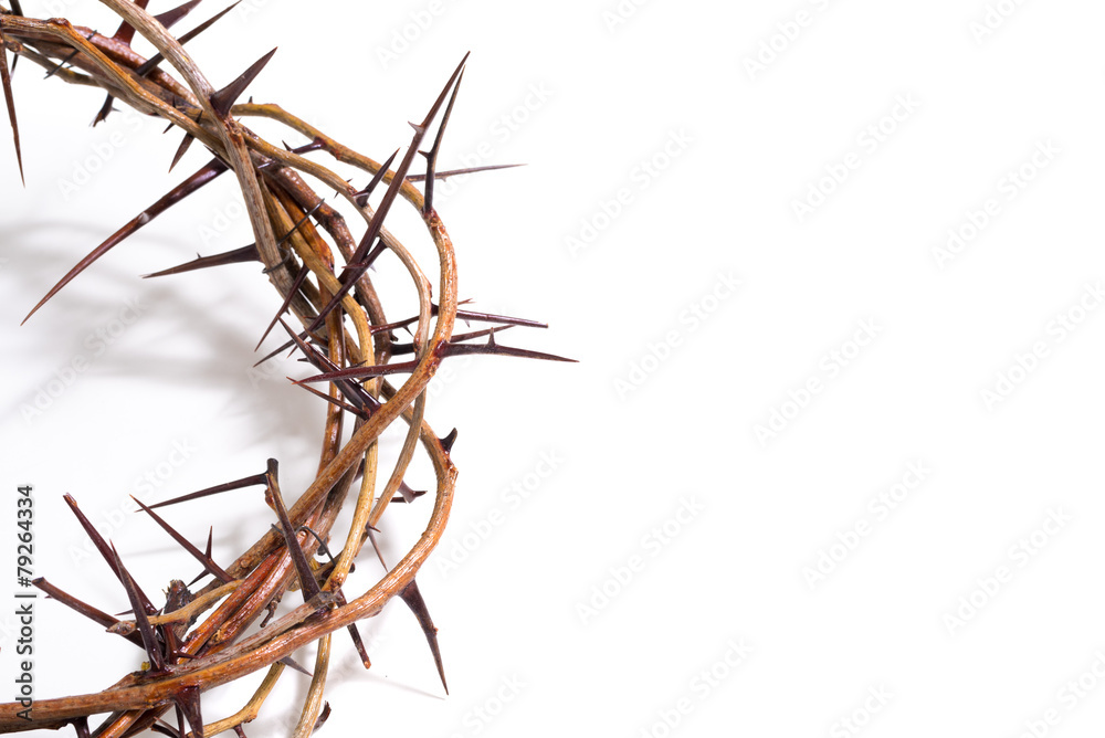 A crown of thorns on a white background - Easter. religion. - obrazy, fototapety, plakaty 