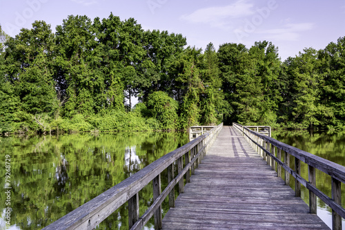 Fototapeta Naklejka Na Ścianę i Meble -  Water and forest in Alabama with a foot bridge