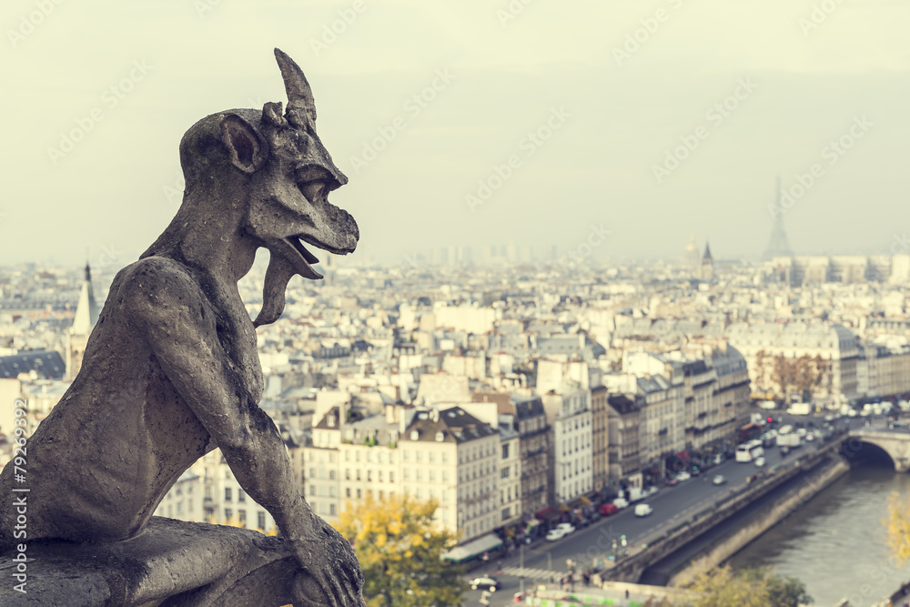 Fototapeta premium Chimeras overlooking the skyline of Paris