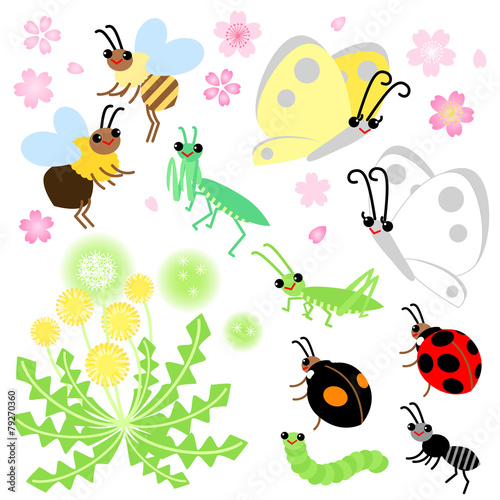 春の花　昆虫