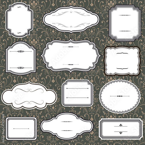 Vintage Frames on Damask Background