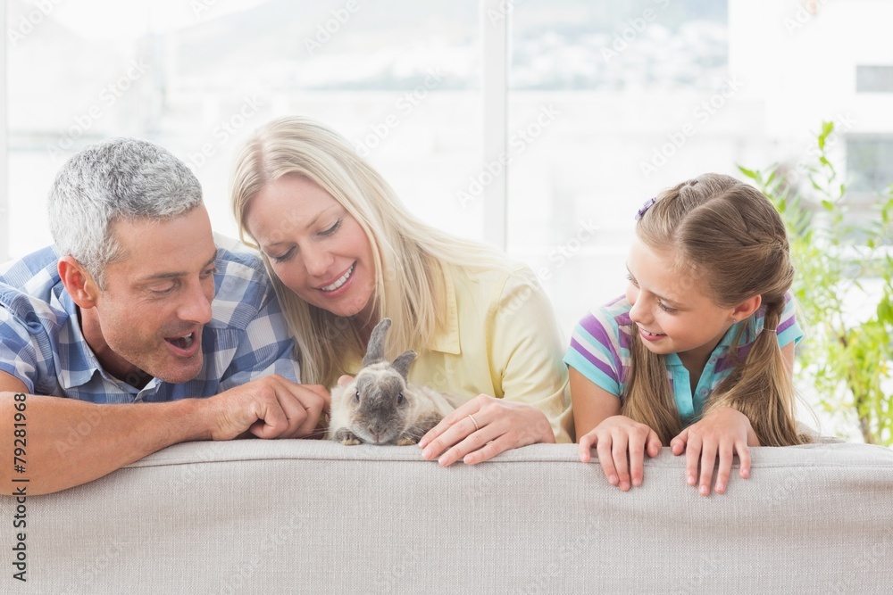 Family playing with rabbit on sofa at home
