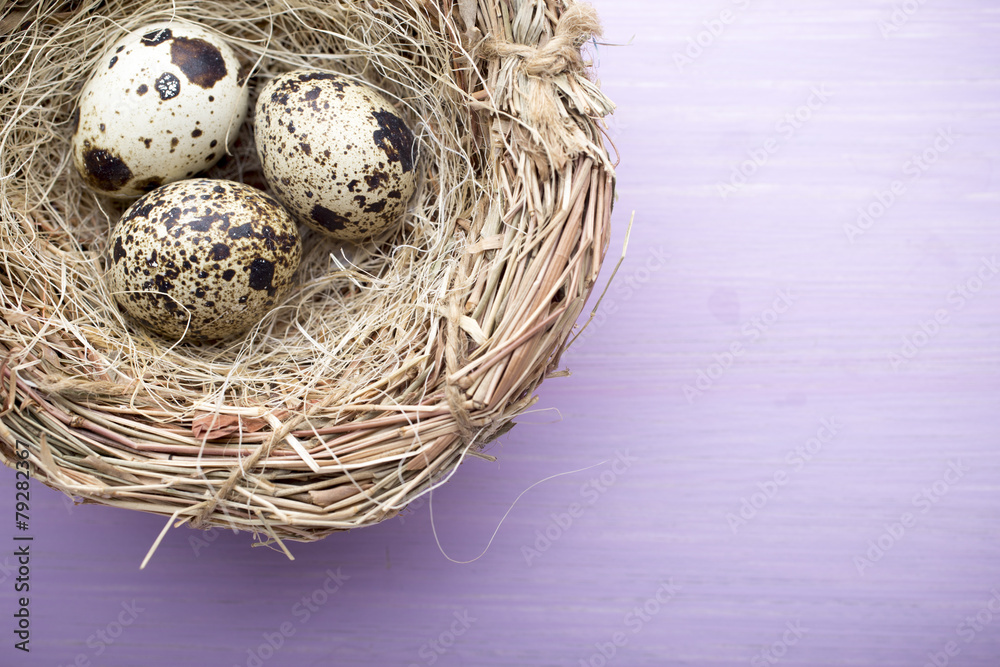 Quail eggs. Easter greeting card. Quail eggs. Easter greeting card.