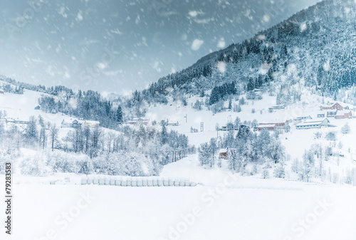 House in the mountains on winter photo